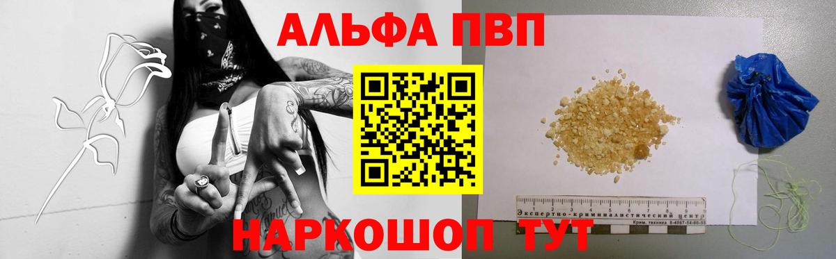 Альфа ПВП СК Новый Уренгой