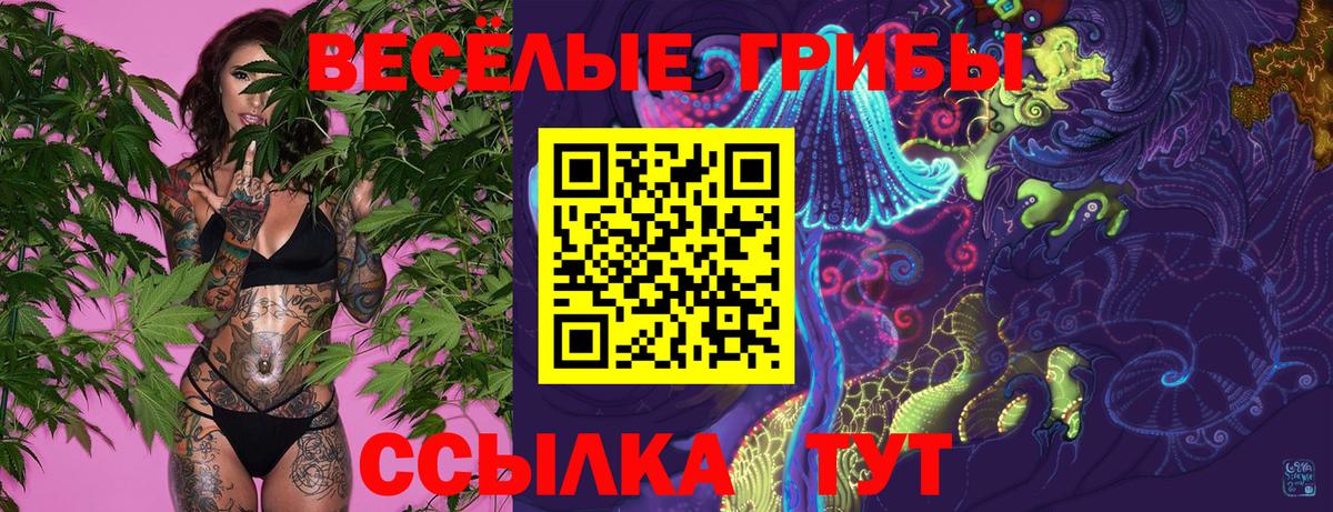 Галлюциногенные грибы Psilocybe  Псилоцибиновые грибы Psilocybine cubensis  Вход с VPN  Новый Уренгой 